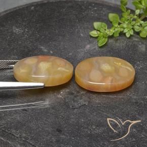 Fossil Coral Gemstones in 20 x 13.3 mm Size for Sale, Fossil Coral Stones in Multicolor Color