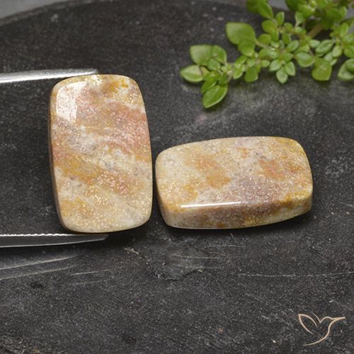 29.36 ct Cushion Fossil Coral, 19.7 x 12.4 mm From Indonesia, Photo A