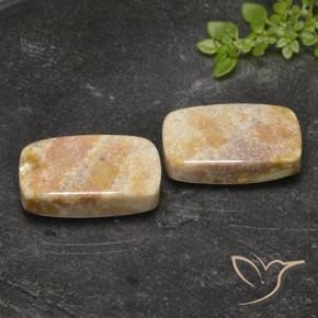 29.36 ctw Multicolor Fossil Coral Stones, Natural Fossil Coral in Cushion Cabochon Shape for Sale