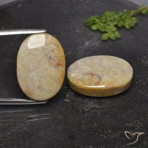 26.36 ct Oval Fossil Coral, 19.9 x 14.2 mm From Indonesia, Photo A
