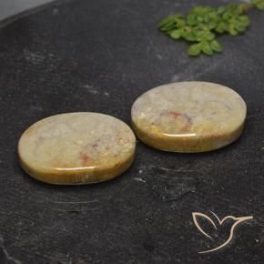 26.36 ctw Multicolor Fossil Coral Stones, Natural Fossil Coral in Oval Cabochon Shape for Sale
