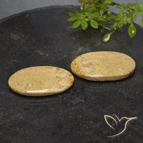 18.28 ctw Multicolor Fossil Coral Stones, Natural Fossil Coral in Oval Cabochon Shape for Sale