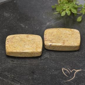 32.76 ctw Multicolor Fossil Coral Stones, Natural Fossil Coral in Cushion Cabochon Shape for Sale