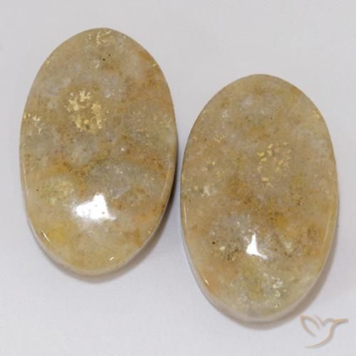 27.02ctw Natural Multicolor Fossil Coral, Oval, Opaque