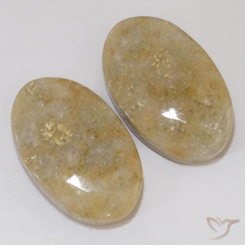 27.02 ctw Multicolor Fossil Coral Stones, Natural Fossil Coral in Oval Cabochon Shape for Sale
