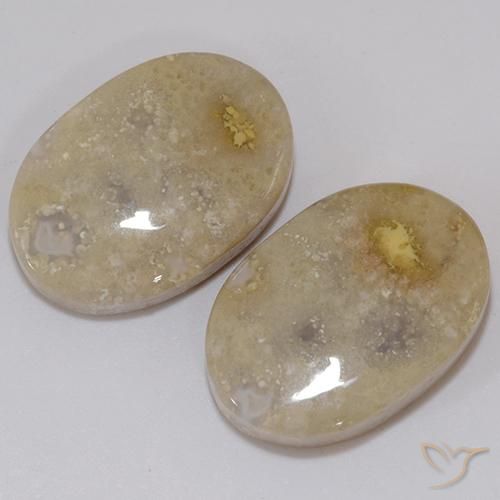 Fossil Coral Gemstones in 18 x 12.3 mm Size for Sale, Fossil Coral Stones in Multicolor Color