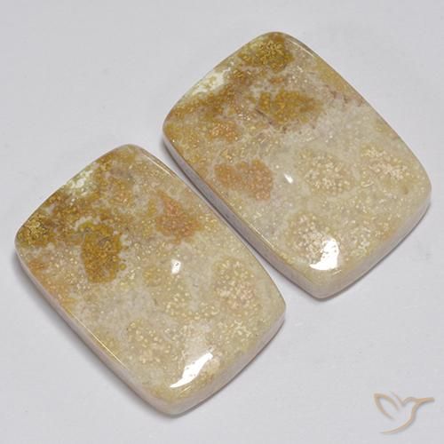 31.35 ctw Multicolor Fossil Coral Stones, Natural Fossil Coral in Cushion Cabochon Shape for Sale