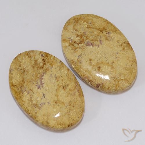 19.18 ctw Multicolor Fossil Coral Stones, Natural Fossil Coral in Oval Cabochon Shape for Sale