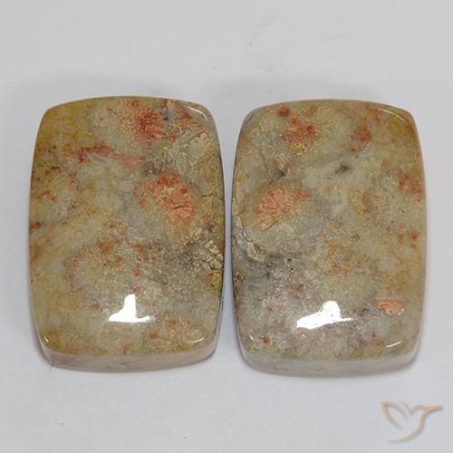 46.76 ct Cushion Fossil Coral, 21.1 x 15.2 mm From Indonesia, Photo A