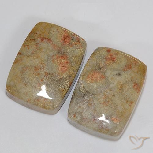 46.76 ctw Multicolor Fossil Coral Stones, Natural Fossil Coral in Cushion Cabochon Shape for Sale