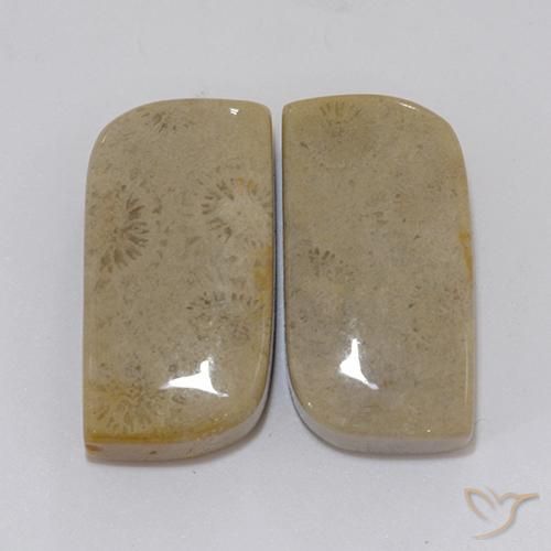 22.46 ct Fancy Fossil Coral, 19.5 x 10.4 mm From Indonesia, Photo A