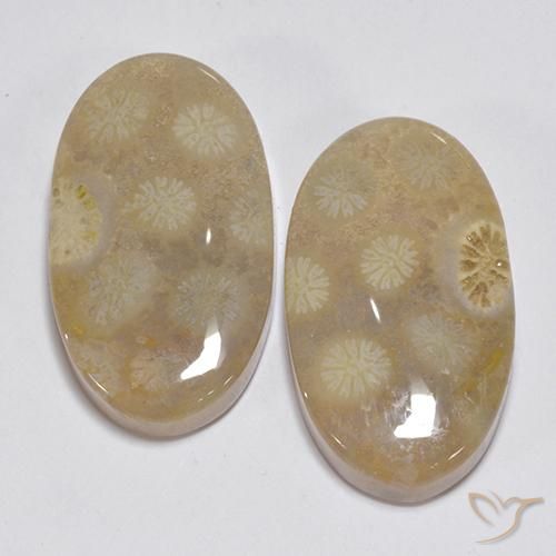 23.63 ct Oval Fossil Coral, 20.6 x 11.9 mm From Indonesia, Photo A