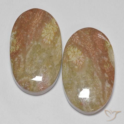 30.58 ct Oval Fossil Coral, 23.1 x 13.6 mm From Indonesia, Photo A
