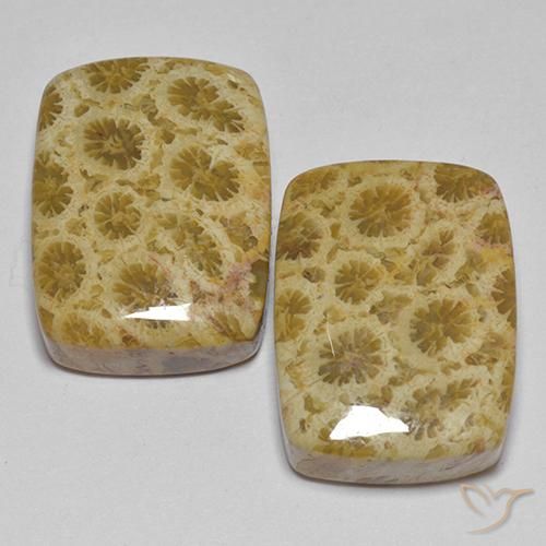27.28 ct Cushion Fossil Coral, 17 x 12.9 mm From Indonesia, Photo A