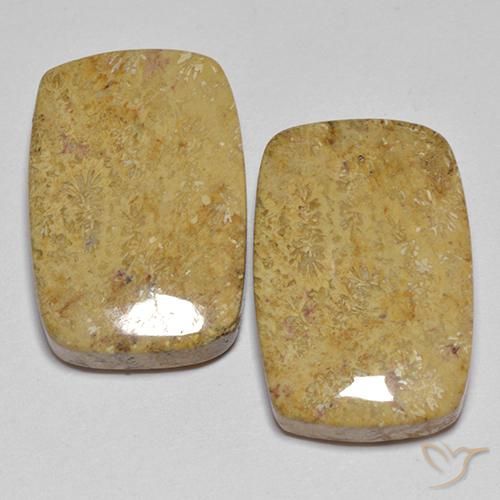 28.04ctw Natural Multicolor Fossil Coral, Cushion, Opaque