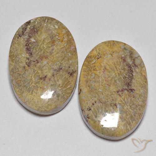 17.68ctw Natural Multicolor Fossil Coral, Oval, Opaque