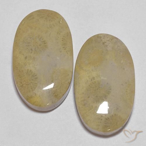 26.68 ct Oval Fossil Coral, 20.8 x 12.2 mm From Indonesia, Photo A