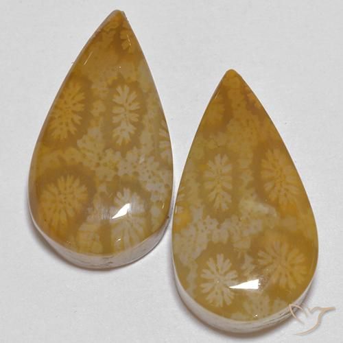 21.24 ct Pear Fossil Coral, 20.2 x 11 mm From Indonesia, Photo A