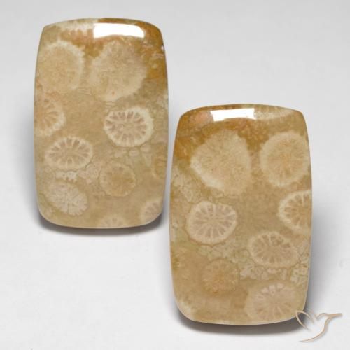 29.92ctw Natural Multicolor Fossil Coral, Cushion, Opaque