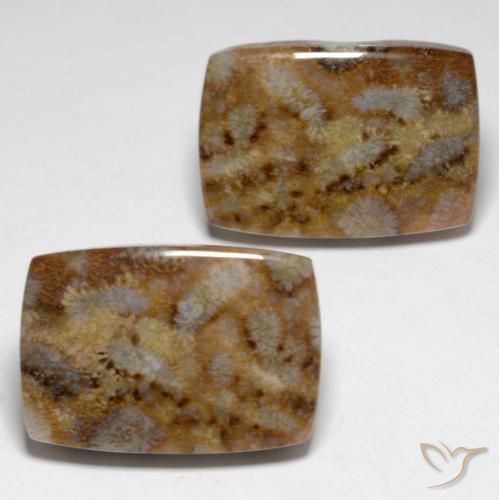 27.29 ct Cushion Fossil Coral, 19.3 x 13.3 mm From Indonesia, Photo A