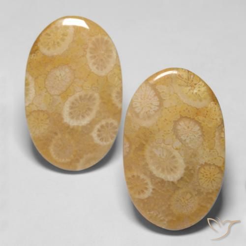 20.47 ct Oval Fossil Coral, 22.8 x 14.3 mm From Indonesia, Photo A