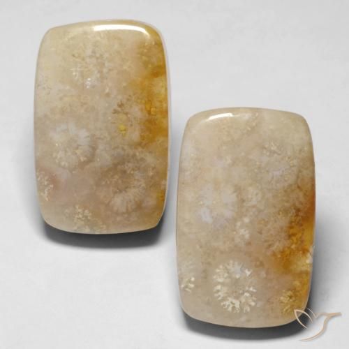 29.43ctw Natural Multicolor Fossil Coral, Cushion, Opaque