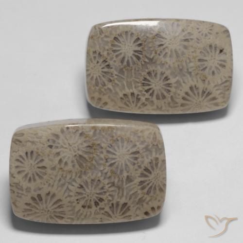 33.45 ctw Multicolor Fossil Coral Stones, Natural Fossil Coral in Cushion Cabochon Shape for Sale