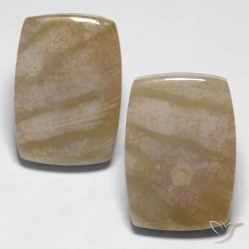 27.98 ct Cushion Fossil Coral, 18.7 x 13.2 mm From Indonesia, Photo A