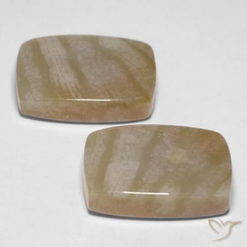 Fossil Coral Gemstones in 18 x 13 mm (calibrated) Size for Sale, Fossil Coral Stones in Multicolor Color