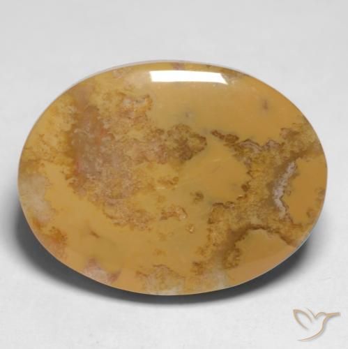 12.65ct Natural Multicolor Fossil Coral, Oval, Opaque