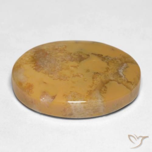 Fossil Coral Gemstone in 20 x 15 mm (calibrated) Size for Sale, Fossil Coral Stone in Multicolor Color