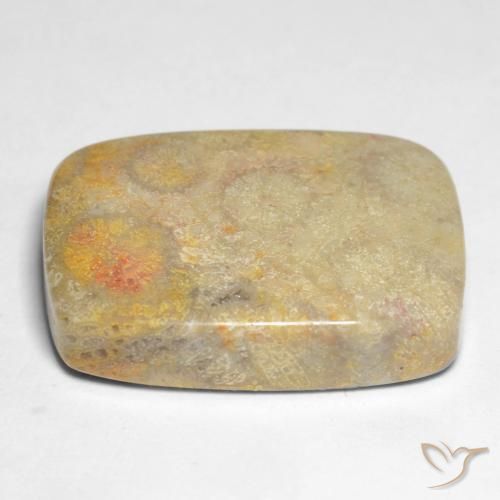 Fossil Coral Gemstone in 20 x 15 mm (calibrated) Size for Sale, Fossil Coral Stone in Multicolor Color