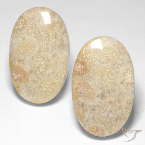 29.31 ct Oval Fossil Coral, 22.2 x 13.8 mm From Indonesia, Photo A