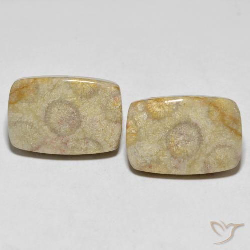 30.24ctw Natural Multicolor Fossil Coral, Cushion, Opaque, Photo A