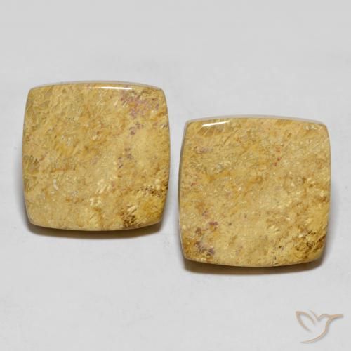 30.55 ct Cushion Fossil Coral, 16.6 x 16.2 mm From Indonesia, Photo A