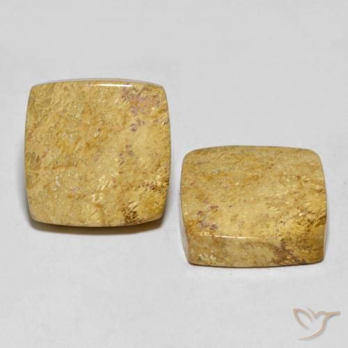 30.55 ctw Multicolor Fossil Coral Stones, Natural Fossil Coral in Cushion Cabochon Shape for Sale