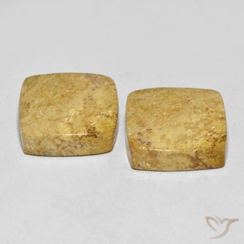 Fossil Coral Gemstones in 16 x 16 mm (calibrated) Size for Sale, Fossil Coral Stones in Multicolor Color