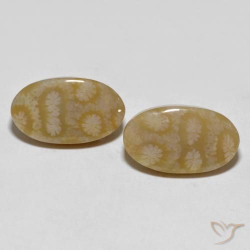 20.8 ct Oval Fossil Coral, 19.4 x 11.3 mm From Indonesia, Photo A