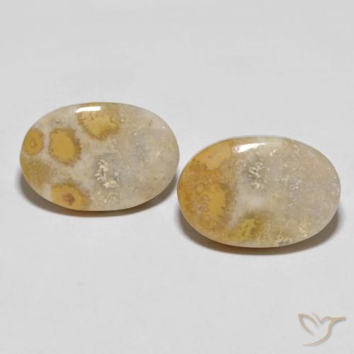 25.55ctw Natural Multicolor Fossil Coral, Oval, Opaque