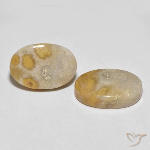 25.55 ctw Multicolor Fossil Coral Stones, Natural Fossil Coral in Oval Cabochon Shape for Sale