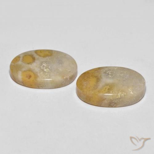 Fossil Coral Gemstones in 19.8 x 13.6 mm Size for Sale, Fossil Coral Stones in Multicolor Color