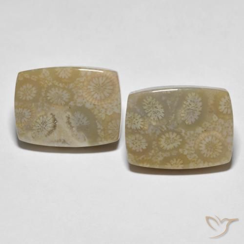 30.23ctw Natural Multicolor Fossil Coral, Cushion, Opaque