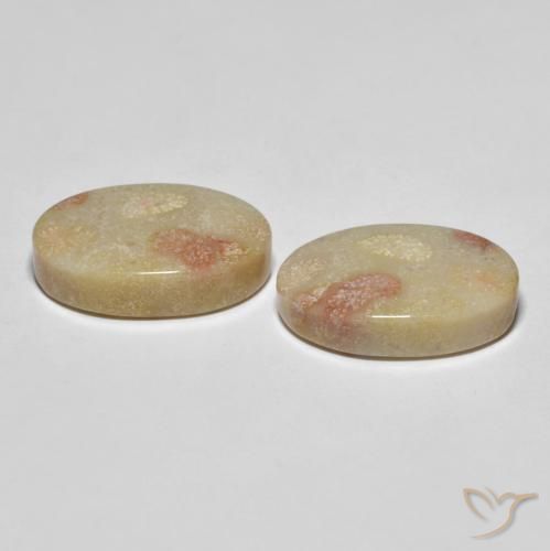 Fossil Coral Gemstones in 19 x 12 mm Size for Sale, Fossil Coral Stones in Multicolor Color