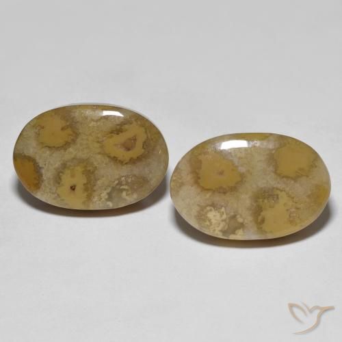 21.52 ct Oval Fossil Coral, 18.4 x 12.2 mm From Indonesia, Photo A