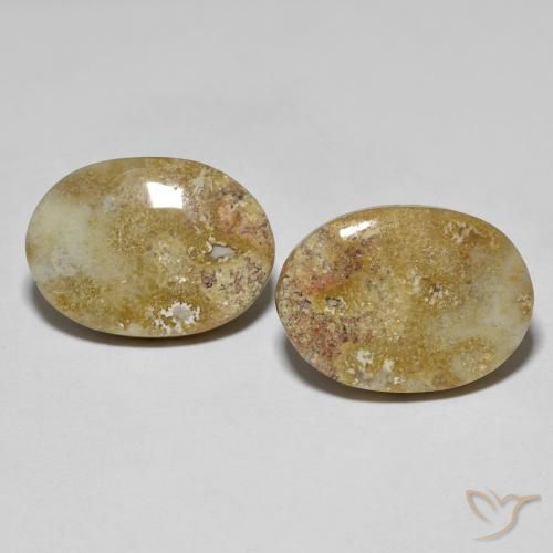 16.68ctw Natural Multicolor Fossil Coral, Oval, Opaque