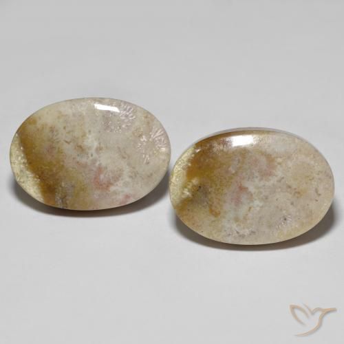 34.92 ct Oval Fossil Coral, 21.8 x 15.2 mm From Indonesia, Photo A