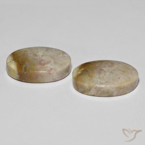 Fossil Coral Gemstones in 21.8 x 15.2 mm Size for Sale, Fossil Coral Stones in Multicolor Color