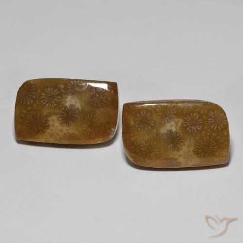 30.11 ct Fancy Fossil Coral, 21.5 x 13.4 mm From Indonesia, Photo A