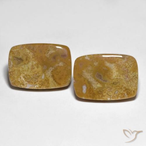 27.23 ct Cushion Fossil Coral, 19.9 x 14.2 mm From Indonesia, Photo A
