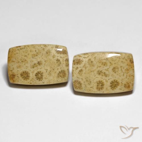 32.19 ct Cushion Fossil Coral, 19.7 x 12.9 mm From Indonesia, Photo A